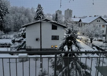 Foto: TANJUG/FOTO STA