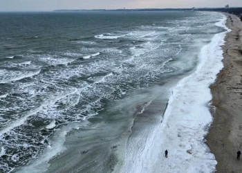 Foto: AP Photo/Michael Probst