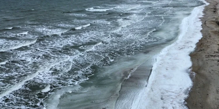 Foto: AP Photo/Michael Probst