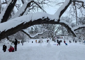 Foto: AP Photo/Drew Callister