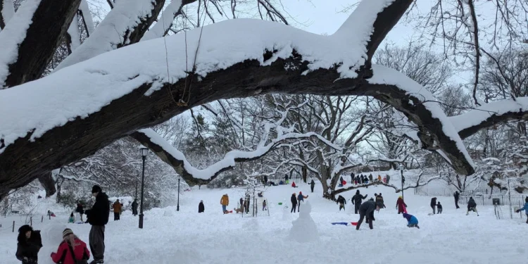 Foto: AP Photo/Drew Callister