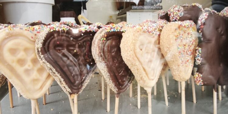 FOTO: BACKI PETROVAC INFO