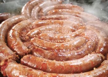 FOTO: BACKI PETROVAC INFO