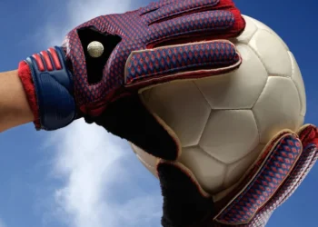 Foto: Shutterstock.com/El Choclo