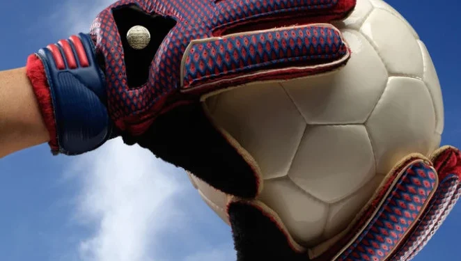 Foto: Shutterstock.com/El Choclo