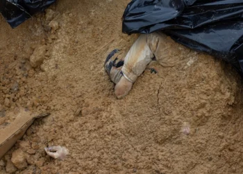 Foto: Shutterstock.com/ShapikMedia, ilustracija