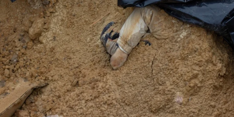 Foto: Shutterstock.com/ShapikMedia, ilustracija