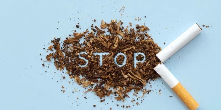 Foto: Shutterstock.com/chayanuphol, ilustracija