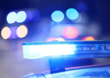 Foto: Shutterstock.com/FotoDax, ilustracija