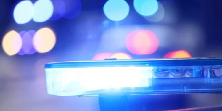 Foto: Shutterstock.com/FotoDax, ilustracija