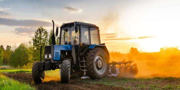 Foto: Shutterstock.com/photodaria