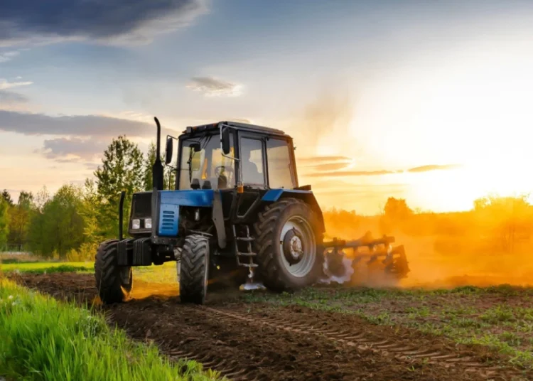 Foto: Shutterstock.com/photodaria