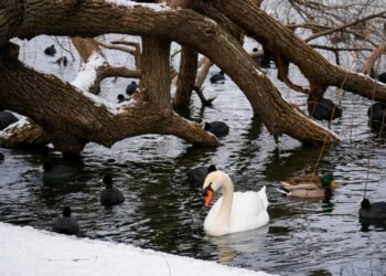 OBLAČNO I HLADNO, POTOM RAZVEDRAVANJE