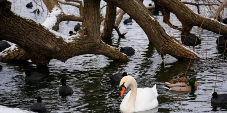 OBLAČNO I HLADNO, POTOM RAZVEDRAVANJE