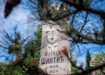 СЕЋАЊЕ НА АЛЕКСУ ШАНТИЋА