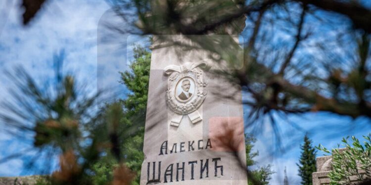 СЕЋАЊЕ НА АЛЕКСУ ШАНТИЋА