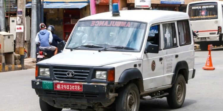 Foto: Shutterstock.com/Art Konovalov, ilustracija