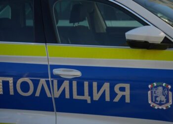 Foto: Shutterstock.com/Tsvetomir_Petrov, ilustracija