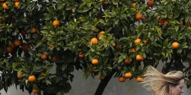 Foto: AP/Gregorio Borgia