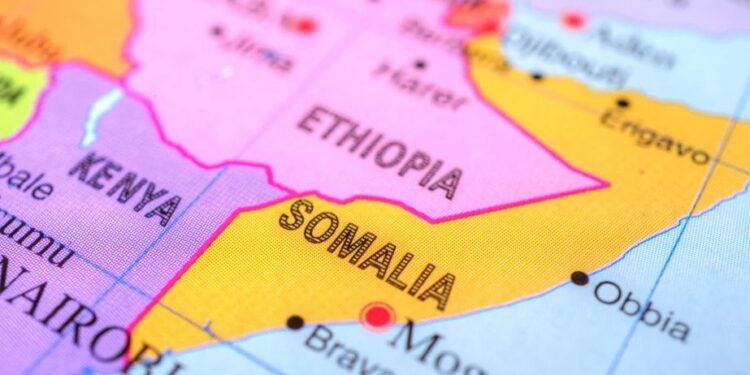 Foto: Shutterstock.com/AustralianCamera, ilustracija