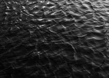 Foto: Shutterstock.com/Vicky_007Art/Ilustracija