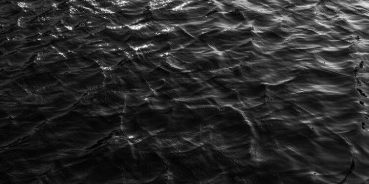 Foto: Shutterstock.com/Vicky_007Art/Ilustracija