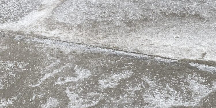 Foto: TANJUG/Aleksandar Nićiforović