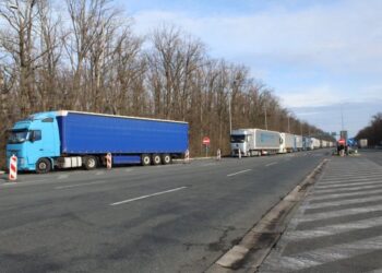 Foto: TANJUG/SAŠKA DROBNJAK