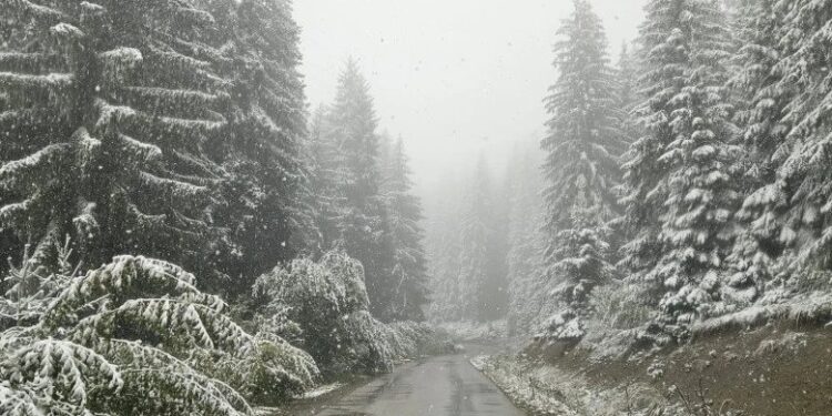 Foto: TANJUG/BRANKO LUKIĆ/Ilustracija