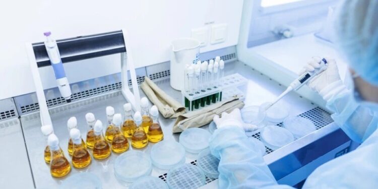 Foto: Shutterstock.com/sergey kolesnikov, ilustracija