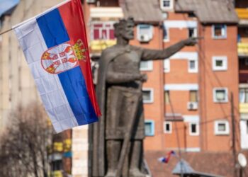 Foto: Shutterstock.com/Dragan Mujan