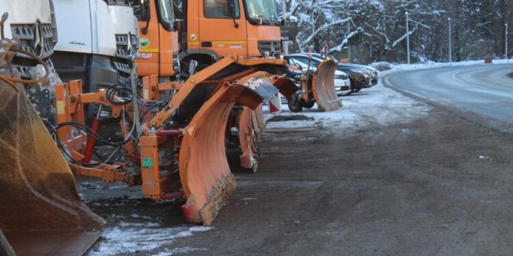 Foto: TANJUG/SAŠKA DROBNJAK
