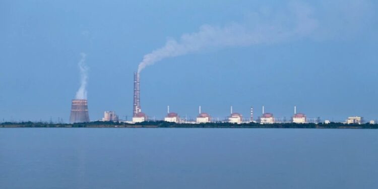 Foto: Shutterstock.com/Bogdan Pigulyak, ilustracija