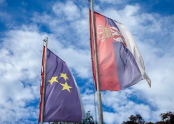 Foto: Shutterstock.com/BalkansCat, ilustracija