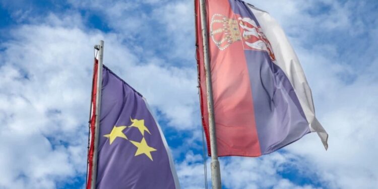 Foto: Shutterstock.com/BalkansCat, ilustracija