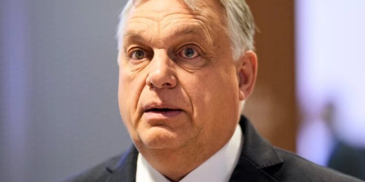 Foto: AP Photo/Markus Schreiber