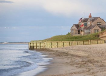 Foto: Shutterstock.com/Gretchen Blair Madden, ilustracija