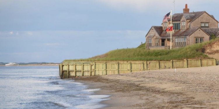 Foto: Shutterstock.com/Gretchen Blair Madden, ilustracija