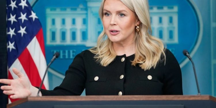 Foto: AP Photo/Nathan Howard