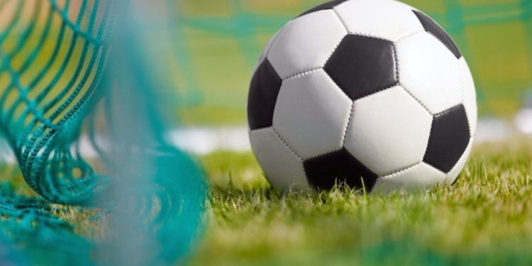 Foto: Shutterstock.com/matimix