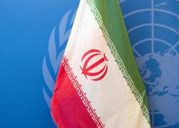 Foto: Shutterstock.com/noamgalai, ilustracija