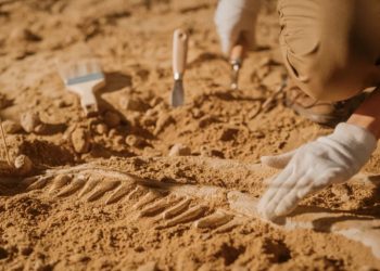 Foto: Shutterstock.com/ Gorodenkoff, ilustracija