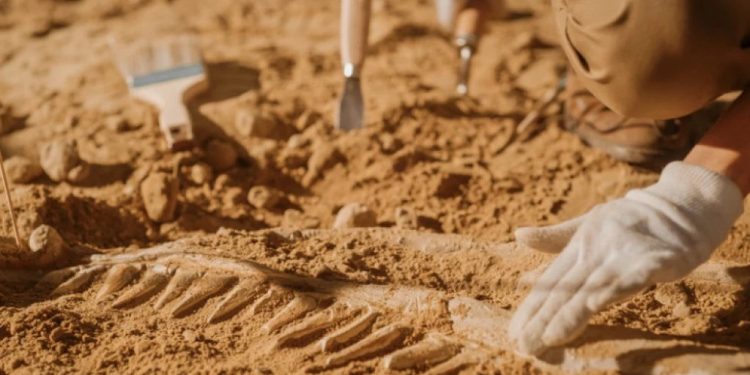 Foto: Shutterstock.com/ Gorodenkoff, ilustracija