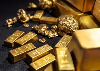 Foto: Shutterstock.com/TSViPhoto, ilustracija