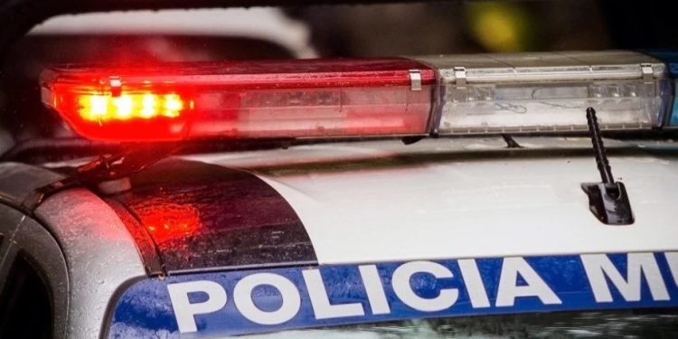 Foto: shutterstock.com/Photo Spirit, ilustracija