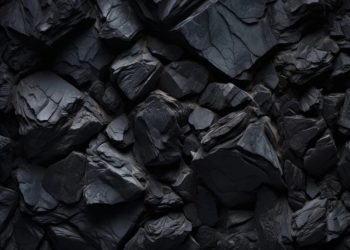 Foto: Shutterstock.com/LarysaPol