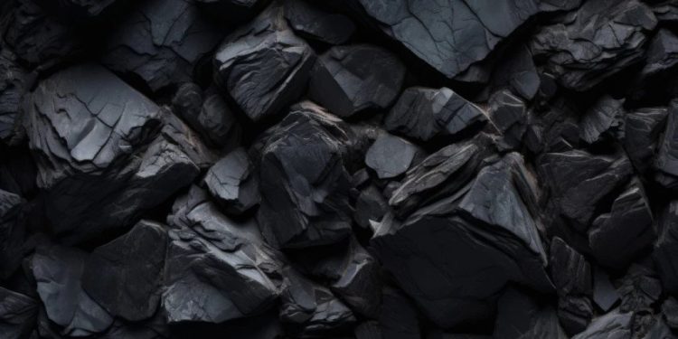 Foto: Shutterstock.com/LarysaPol