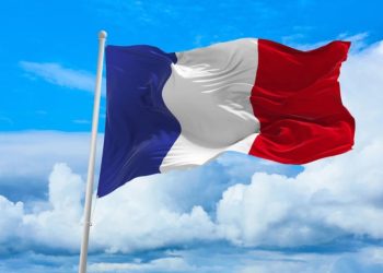 Foto: Shutterstock.com/Maxim Studio, ilustracija