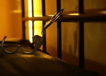 Foto: Shutterstock.com/alexkich, ilustracija