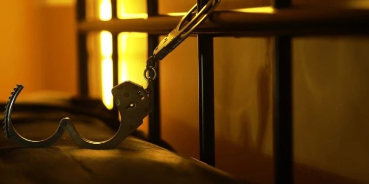 Foto: Shutterstock.com/alexkich, ilustracija